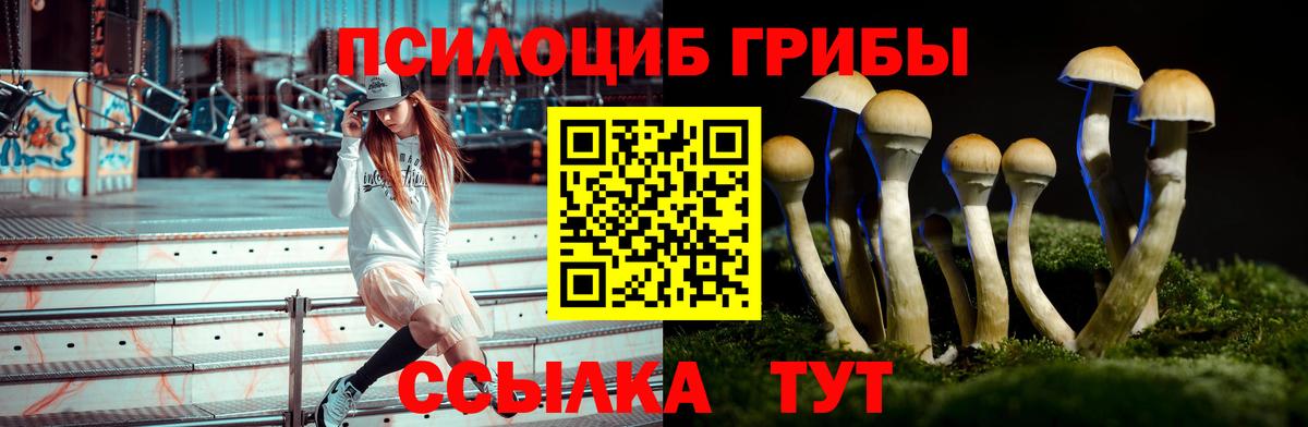 Великий Новгород  наркошоп  Псилоцибиновые грибы мицелий  Вход с VPN  Псилоцибиновые грибы MAGIC MUSHROOMS 